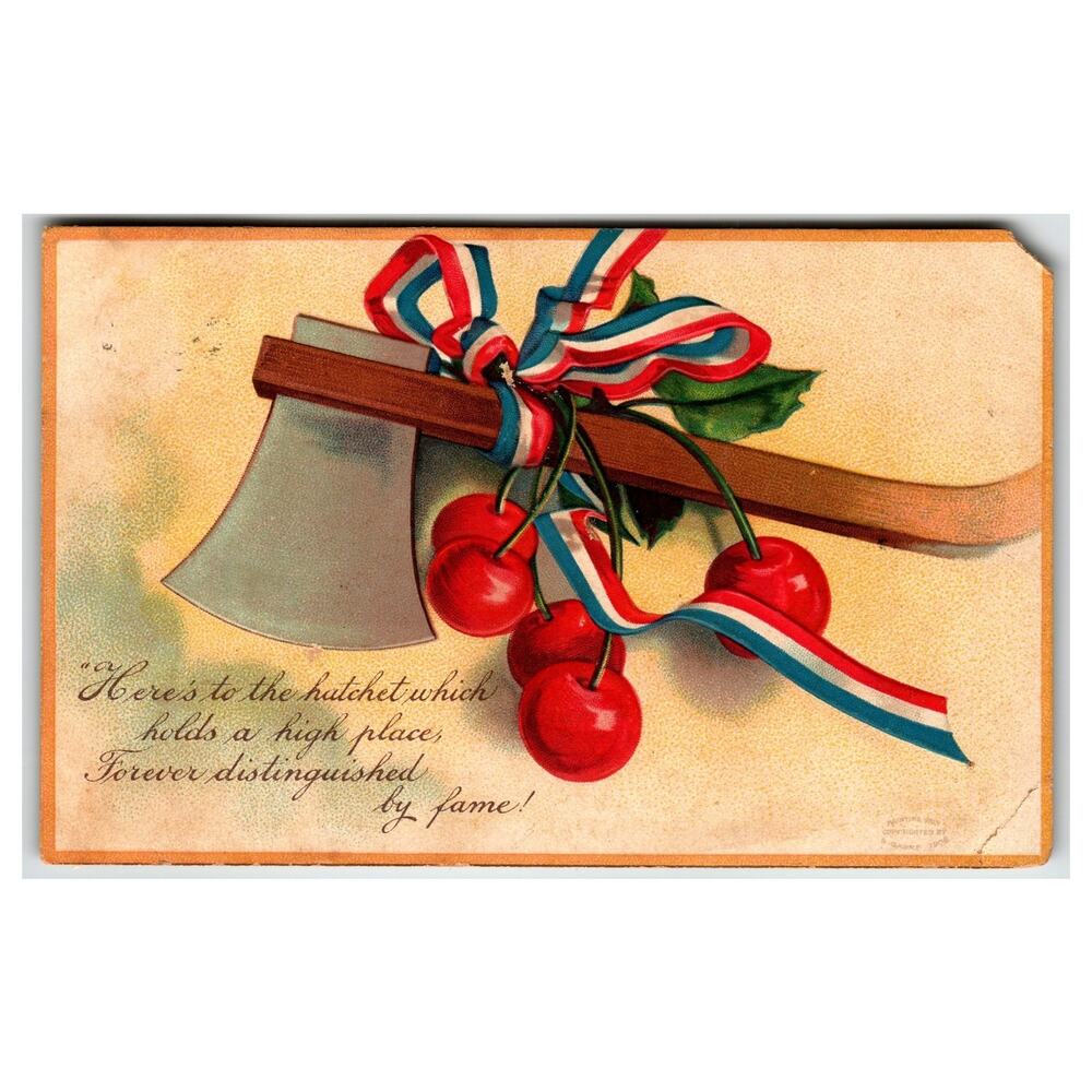 Raphael Tuck George Washington Hatchet Cherries Patriotic Postcard 1909